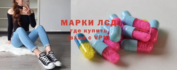 индика Верея